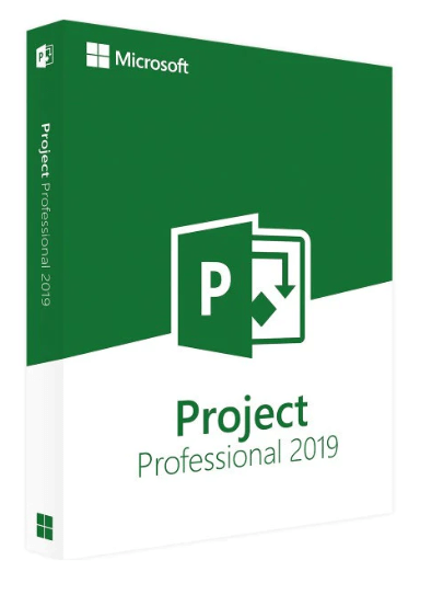 Project 2019 Professionnel