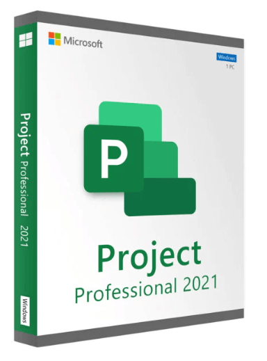 Project Professionnel 2021