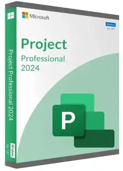 Project Professionnel 2024