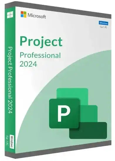 Project Professionnel 2024