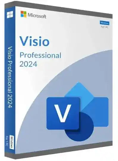 Visio Professionnel 2024